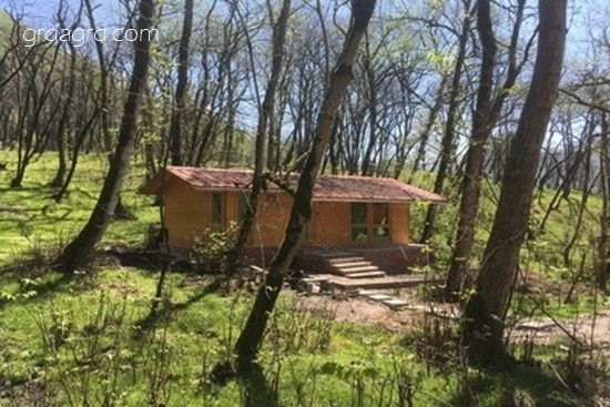 پارک جنگلی جوارم شهرستان سوادکوه