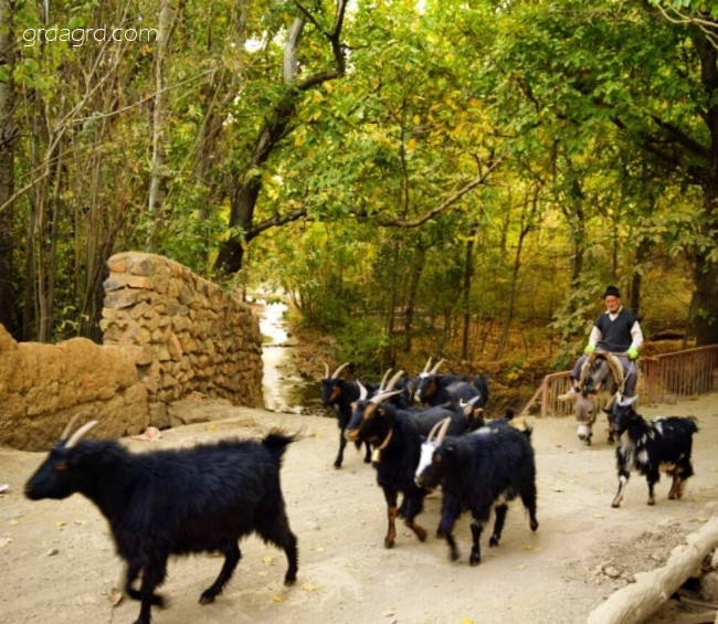 سفر به روستای اسفرجان در جنوب شهر اصفهان
