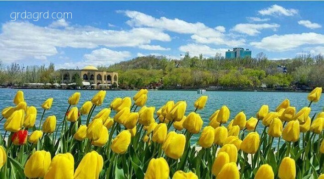 پارک ائل گلی تبریز