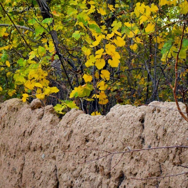 سفر به روستای اسفرجان در جنوب شهر اصفهان