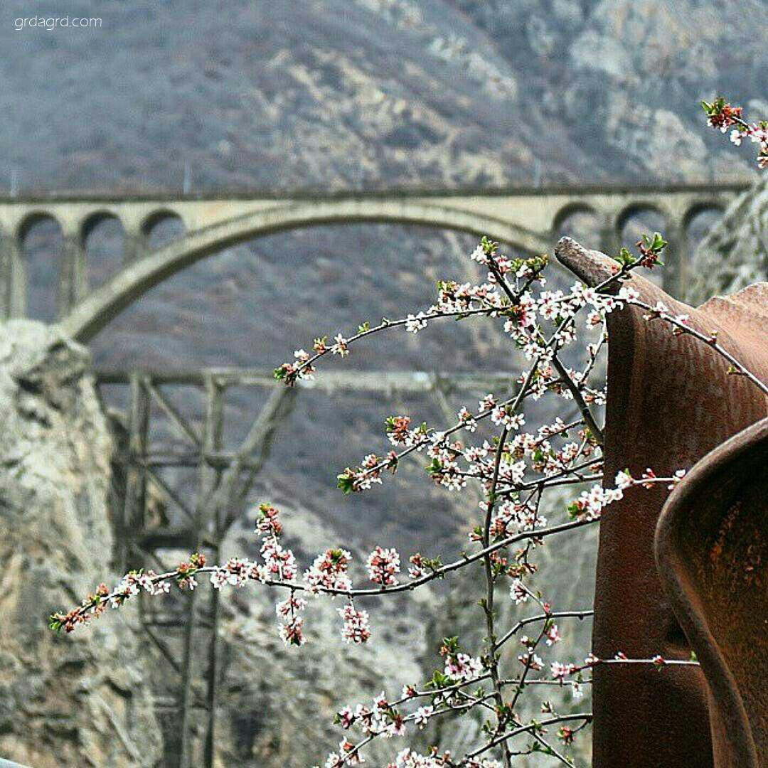 پل ورسک، تجربه‌ای هیجان‌انگیز در ارتفاع ۱۱۰ متری از ته دره